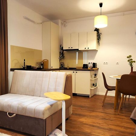 Garden City Studio Sibiu Esterno foto